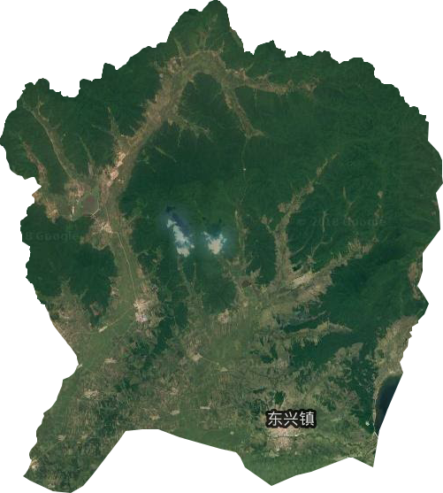 東興鎮衛星圖