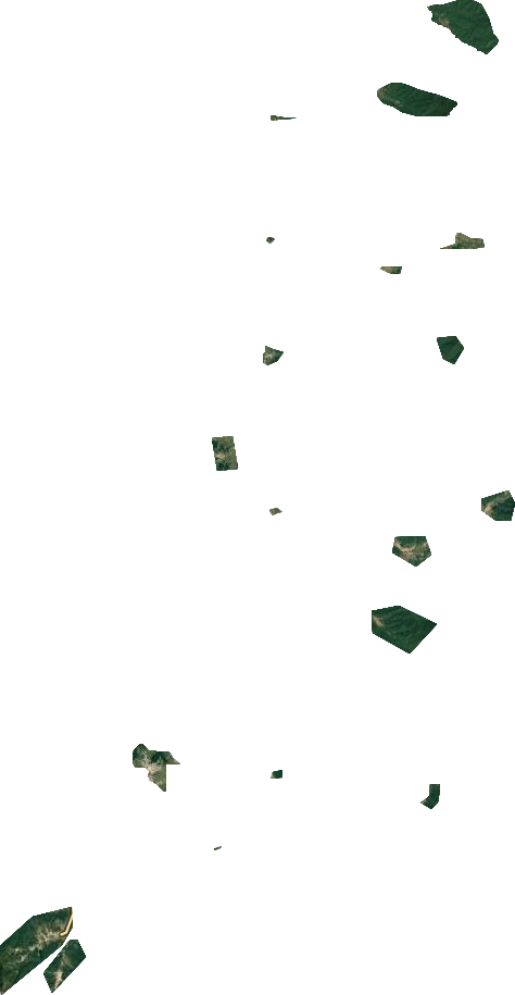 亞布力林業(yè)局衛(wèi)星圖