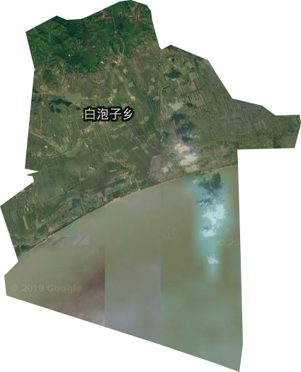 白魚(yú)灣鎮(zhèn)衛(wèi)星圖