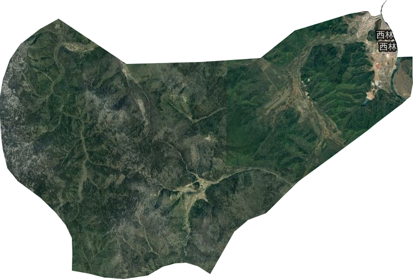 西林街道衛(wèi)星圖