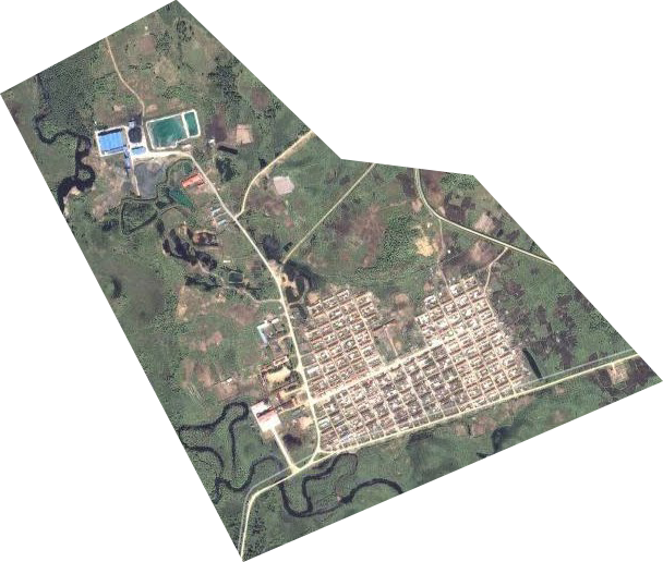 翠北林場衛星圖