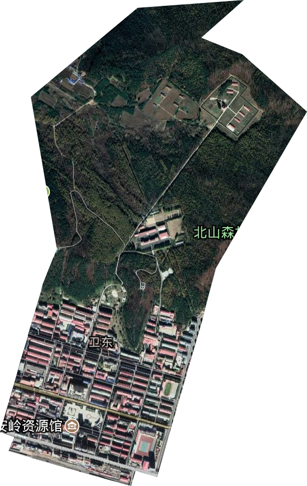 衛東街道衛星圖