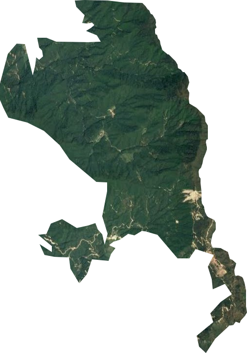 西窯林場衛星圖