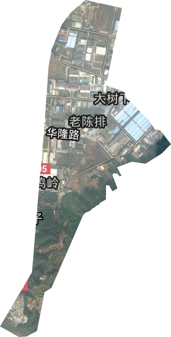 江西龍南經濟技術開發區衛星圖