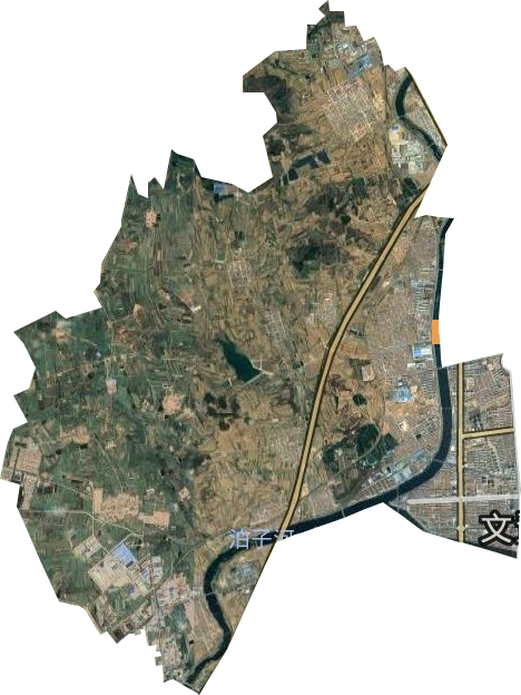 龍山路街道衛(wèi)星圖
