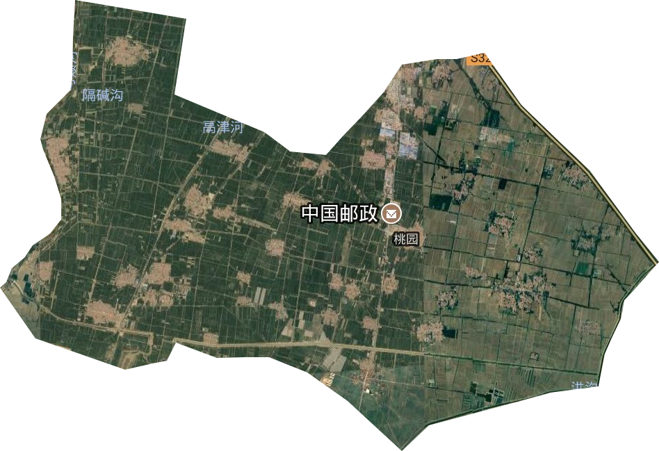 桃園街道衛星圖