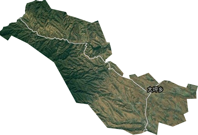 大坪鄉(xiāng)衛(wèi)星圖