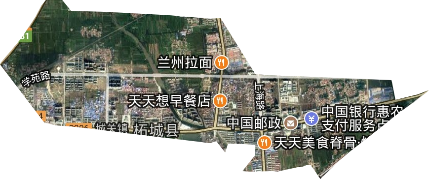 長江新城街道衛星圖