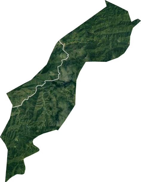 國營楊岔山林場衛星圖