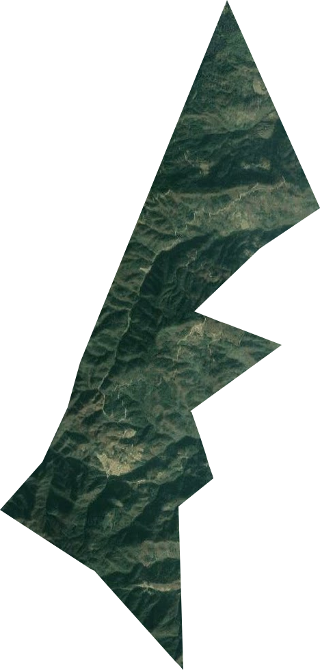 國營毛家山林場衛星圖