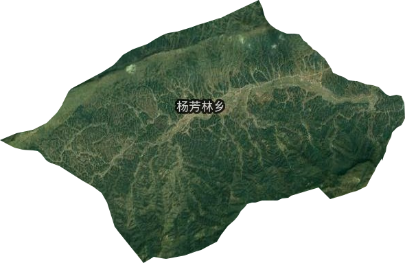 楊芳林鄉(xiāng)衛(wèi)星圖