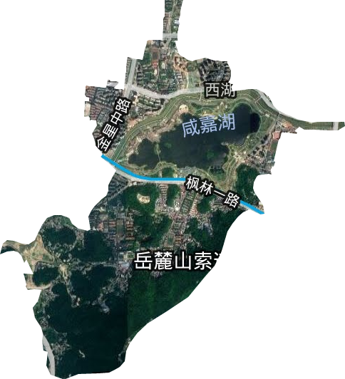 西湖街道衛星圖