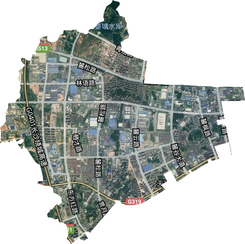 麓谷街道衛星圖