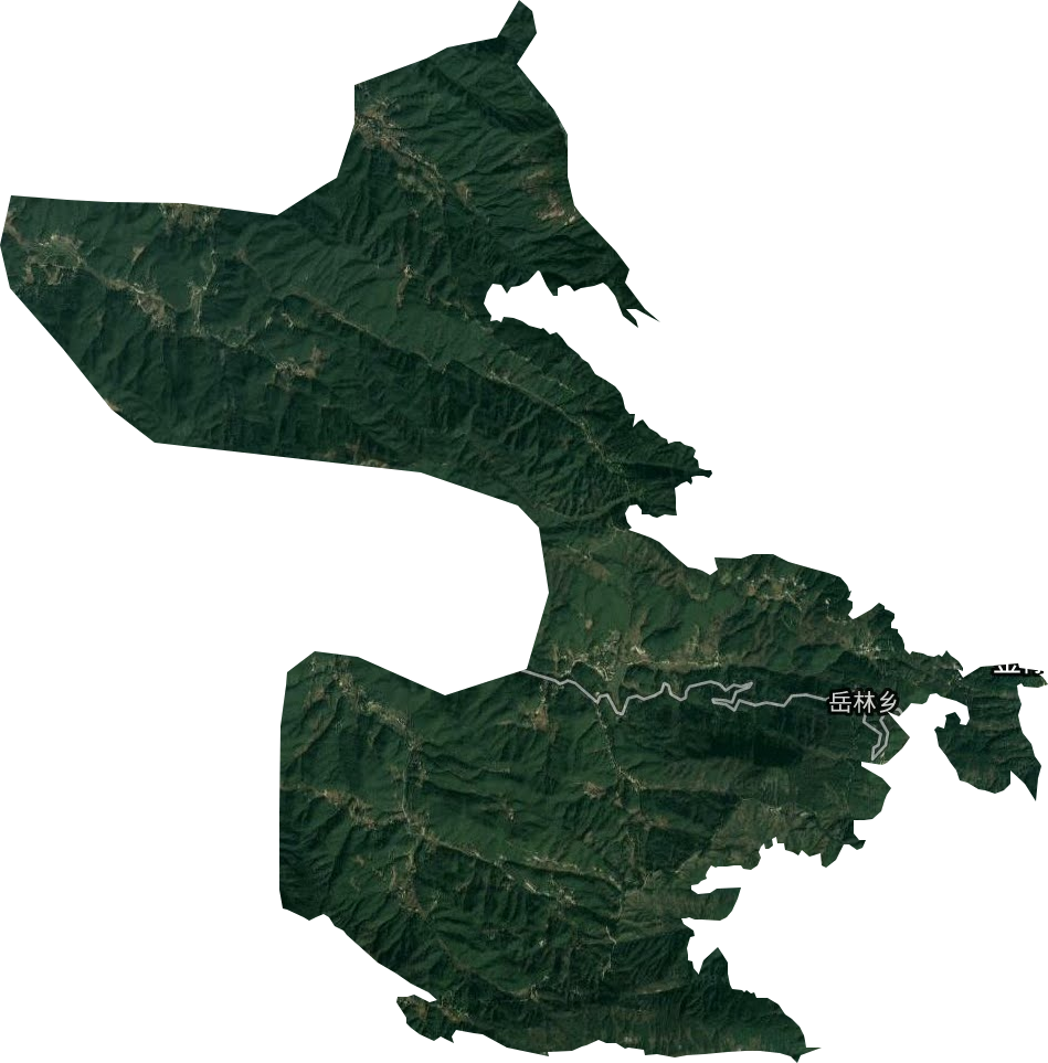 岳林鄉衛星圖