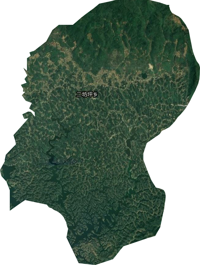 二坊坪鄉(xiāng)衛(wèi)星圖