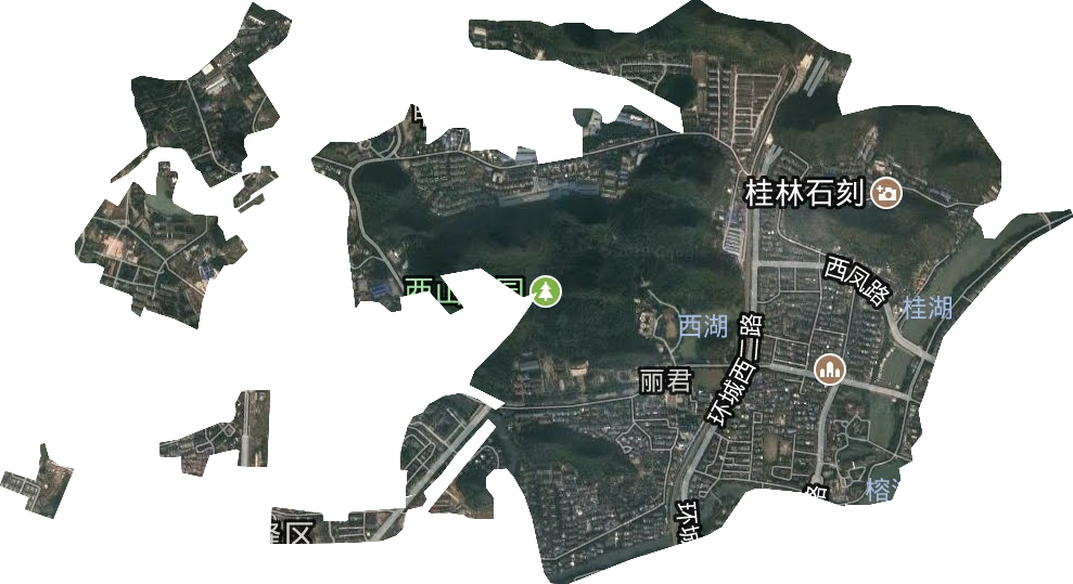 麗君街道衛星圖
