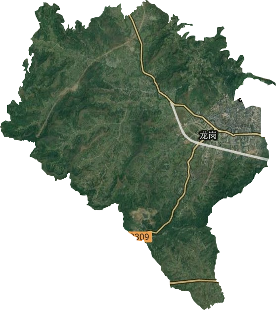龍崗街道衛(wèi)星圖
