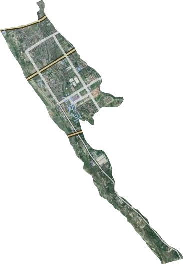 濱江街道衛星圖