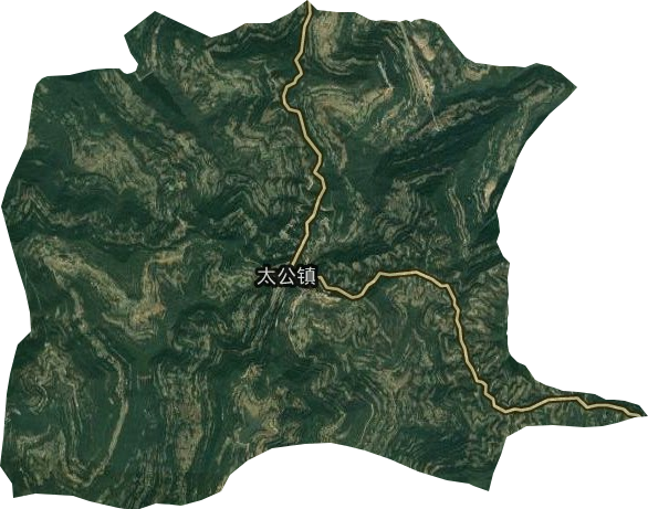 太公鎮(zhèn)衛(wèi)星圖