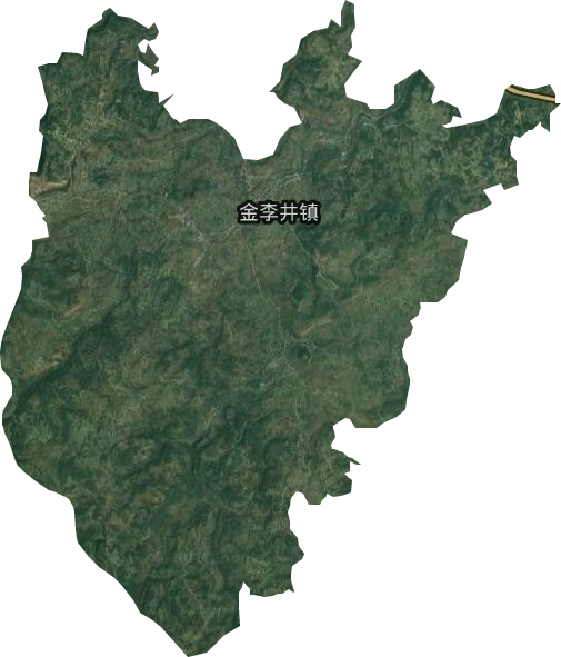 金李井鎮(zhèn)衛(wèi)星圖