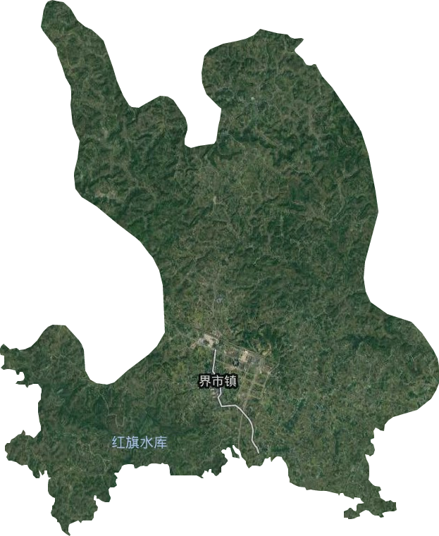 界市鎮衛星圖
