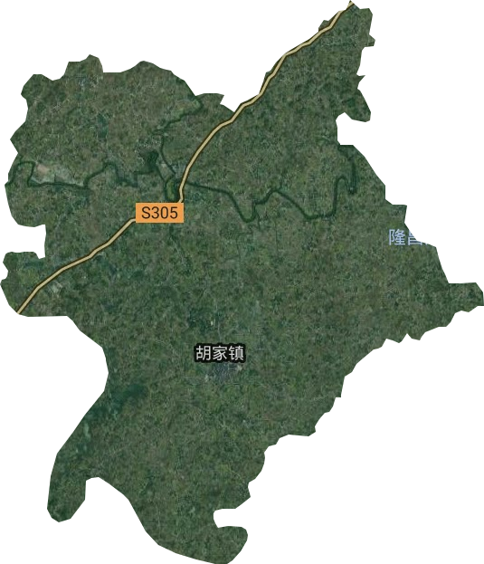 胡家鎮(zhèn)衛(wèi)星圖