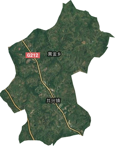共興鎮(zhèn)衛(wèi)星圖