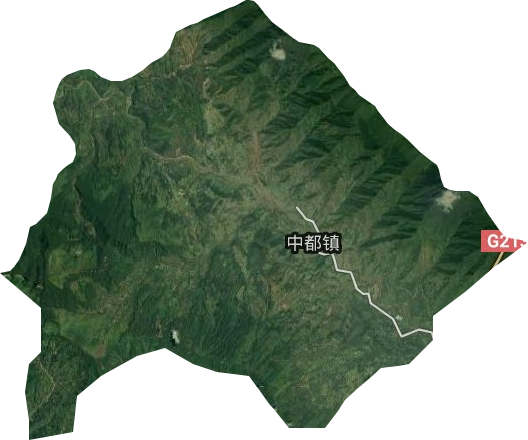 中都鎮(zhèn)衛(wèi)星圖