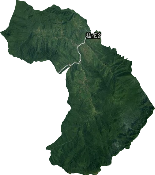 桂花鄉衛星圖