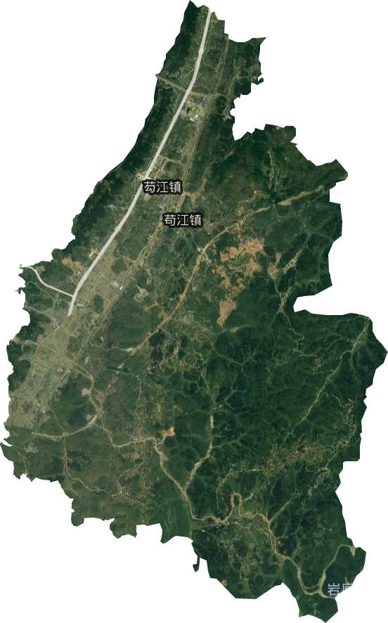 茍江鎮衛星圖