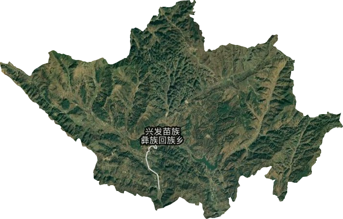 興發鄉衛星圖