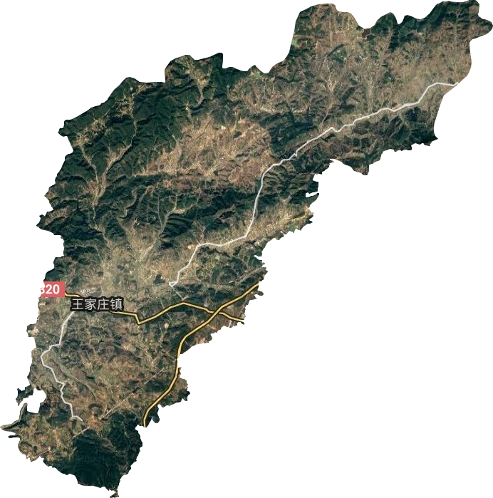 王家莊鎮衛星圖