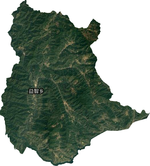 益智鄉(xiāng)衛(wèi)星圖