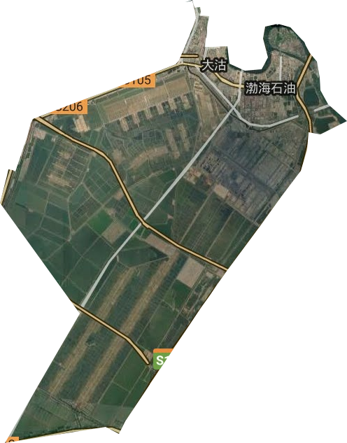 大沽街道衛星圖