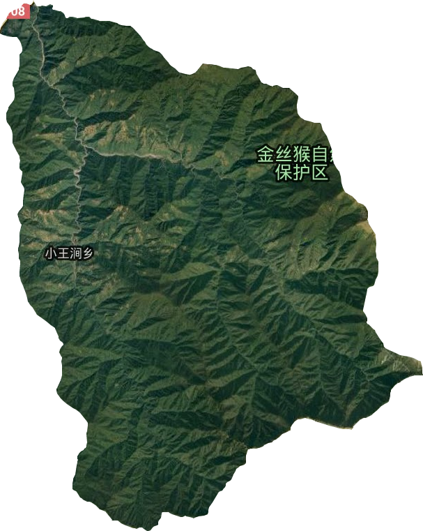 王家河鎮衛星圖