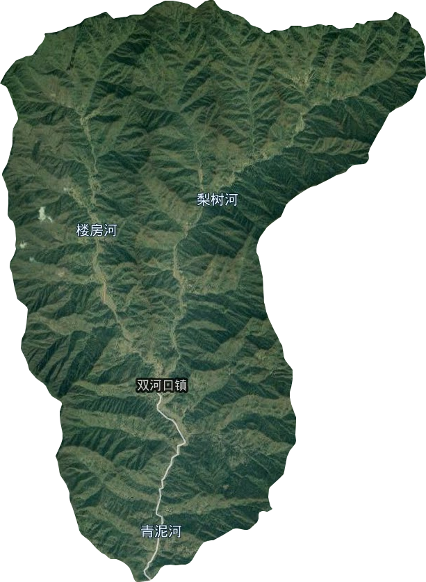 雙河口鎮衛星圖