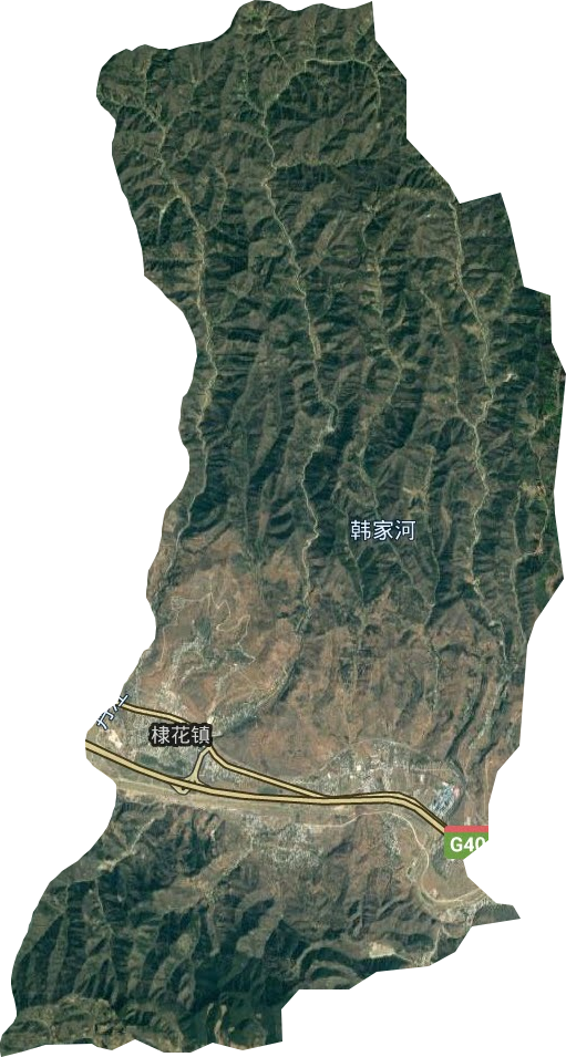 棣花鎮(zhèn)衛(wèi)星圖