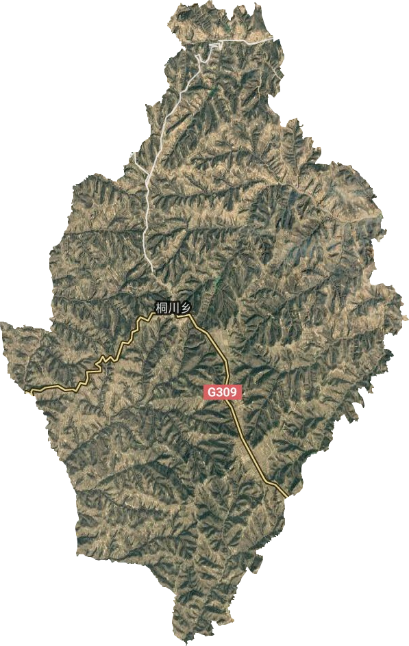 桐川鄉(xiāng)衛(wèi)星圖