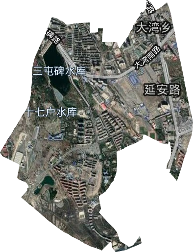 賽馬場街道衛(wèi)星圖