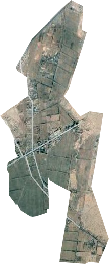 園藝場衛星圖