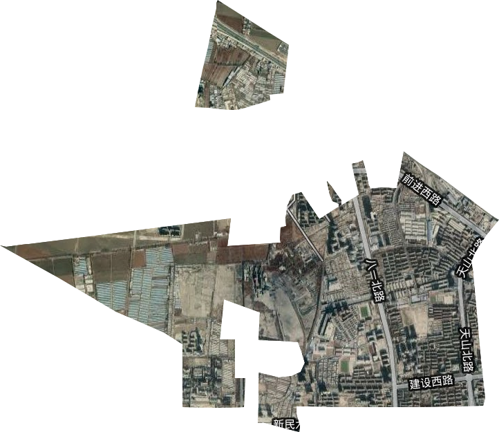 麗園街道衛星圖