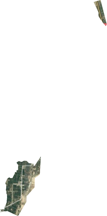 園藝場衛星圖