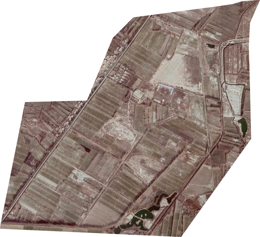 良種場衛星圖
