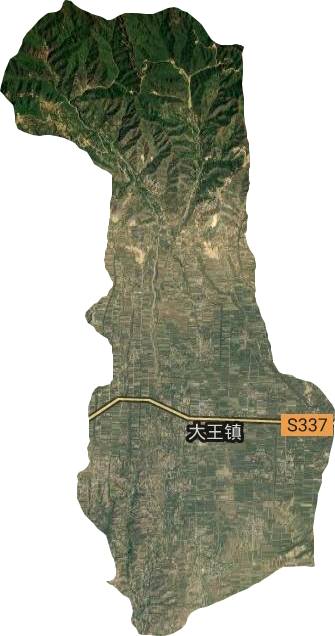 大王鎮衛星圖