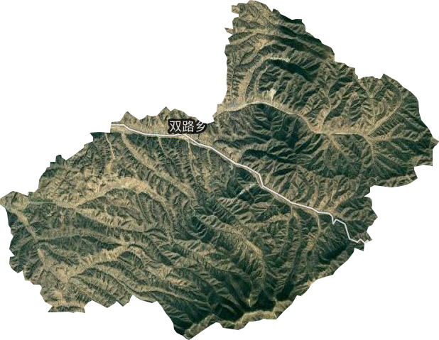 雙路鄉衛星圖