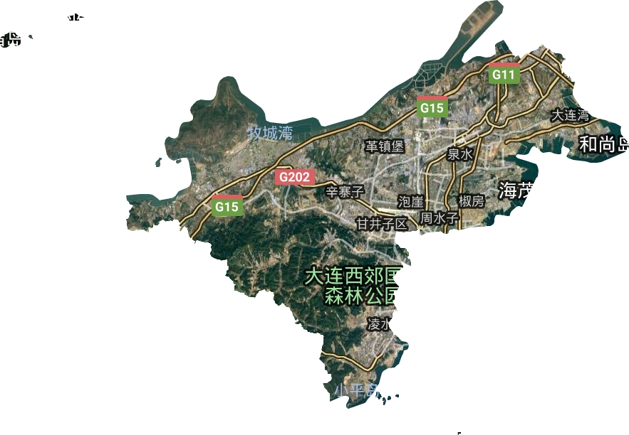甘井子區衛星圖