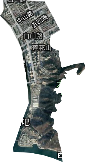白山路街道衛(wèi)星圖