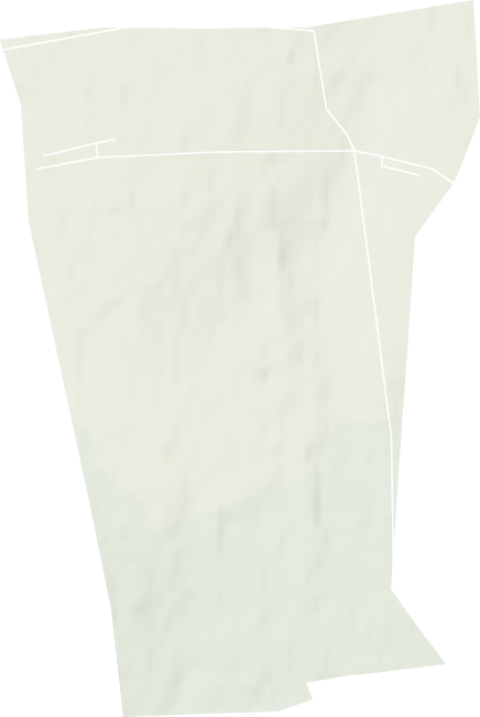 第四良種場地形圖
