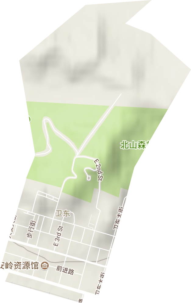 衛東街道地形圖