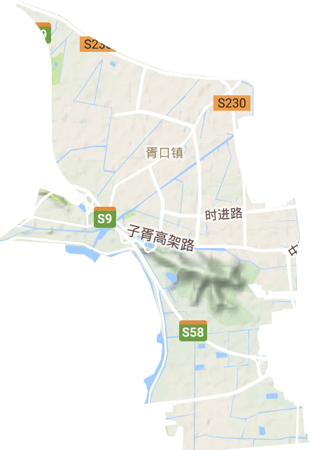 胥口鎮地形圖